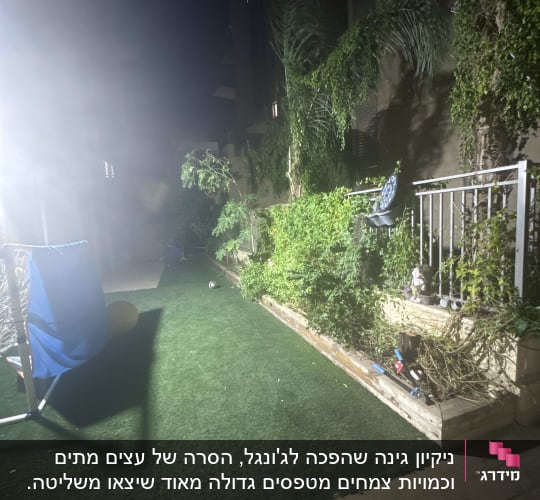 גינה פרטית בלילה עם דשא סינטטי, ערוגת צמחייה וכלי גיזום